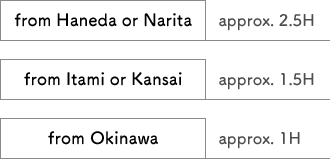Access to Amami Airport