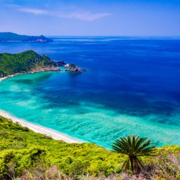 世界自然遺産の奄美大島にある加計呂麻島