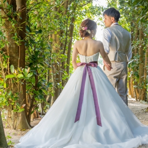 フクギ並木 ２０２１年４月　フクギ並木