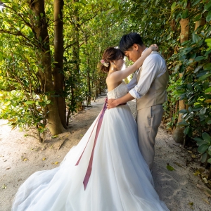 フクギ並木 ２０２１年４月　フクギ並木