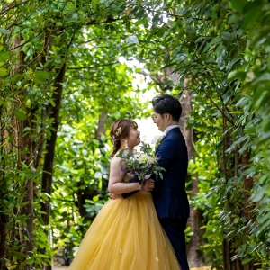 フクギ並木 2024年7月　フクギ並木