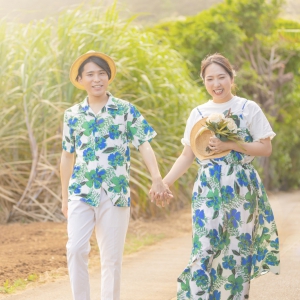 その他 ２０２２年８月　サトウキビ畑