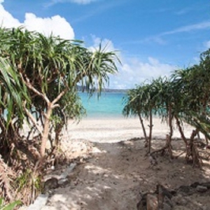 倉崎海岸 ネイティブシー奄美アダンオンザビーチ