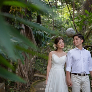 その他 ガーデン撮影