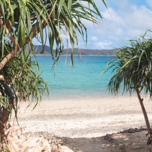 倉崎海岸 ネイティブシー奄美アダンオンザビーチ