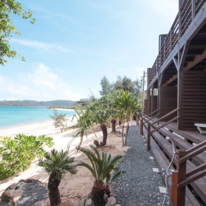 倉崎海岸 ネイティブシー奄美アダンオンザビーチ