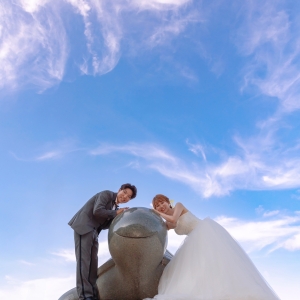 その他 ２４円８月　夢を叶えるかめさん