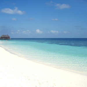 用海岸 きれいなビーチ